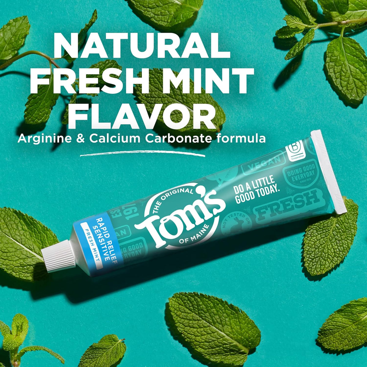Tom's of Maine Rapid Relief Sensitive Fluoride-Free Toothpaste, Fresh Mint, 4 OZ (113 g)