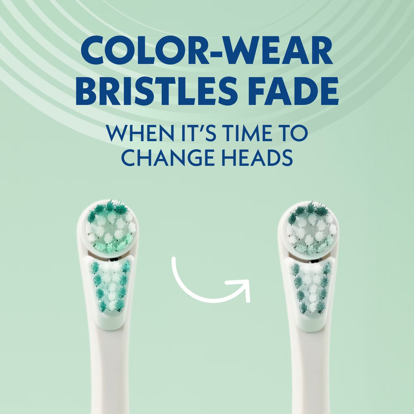 Spinbrush Pro Whiten Toothbrush Set, 2 brushes + 4 extra heads